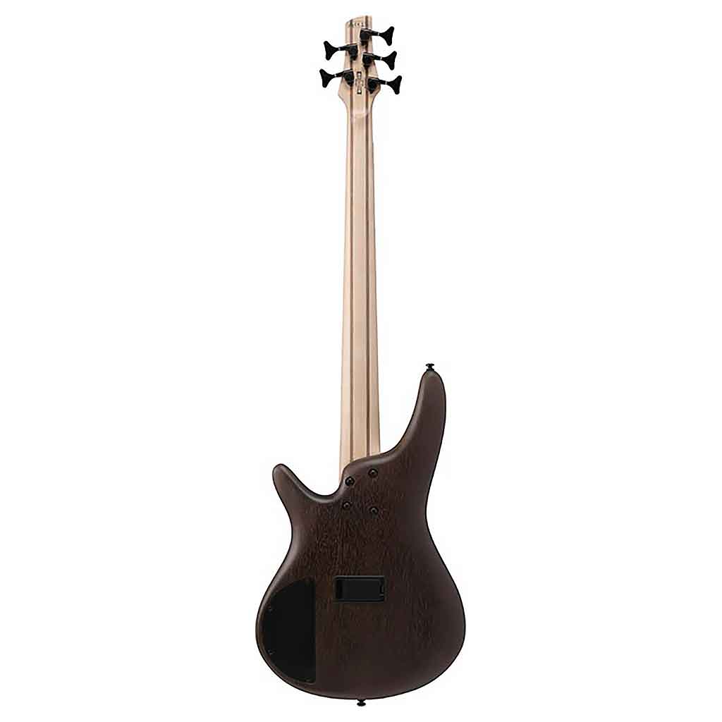 Ibanez SR305E 5-String Bass Guitar-Andy's Music
