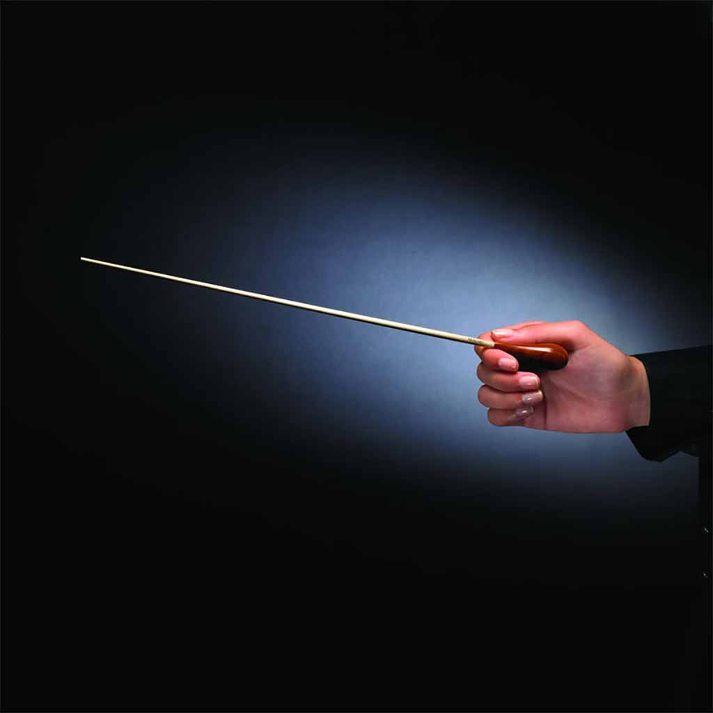 Mollard "S" Series Conductor's Batons-Andy's Music
