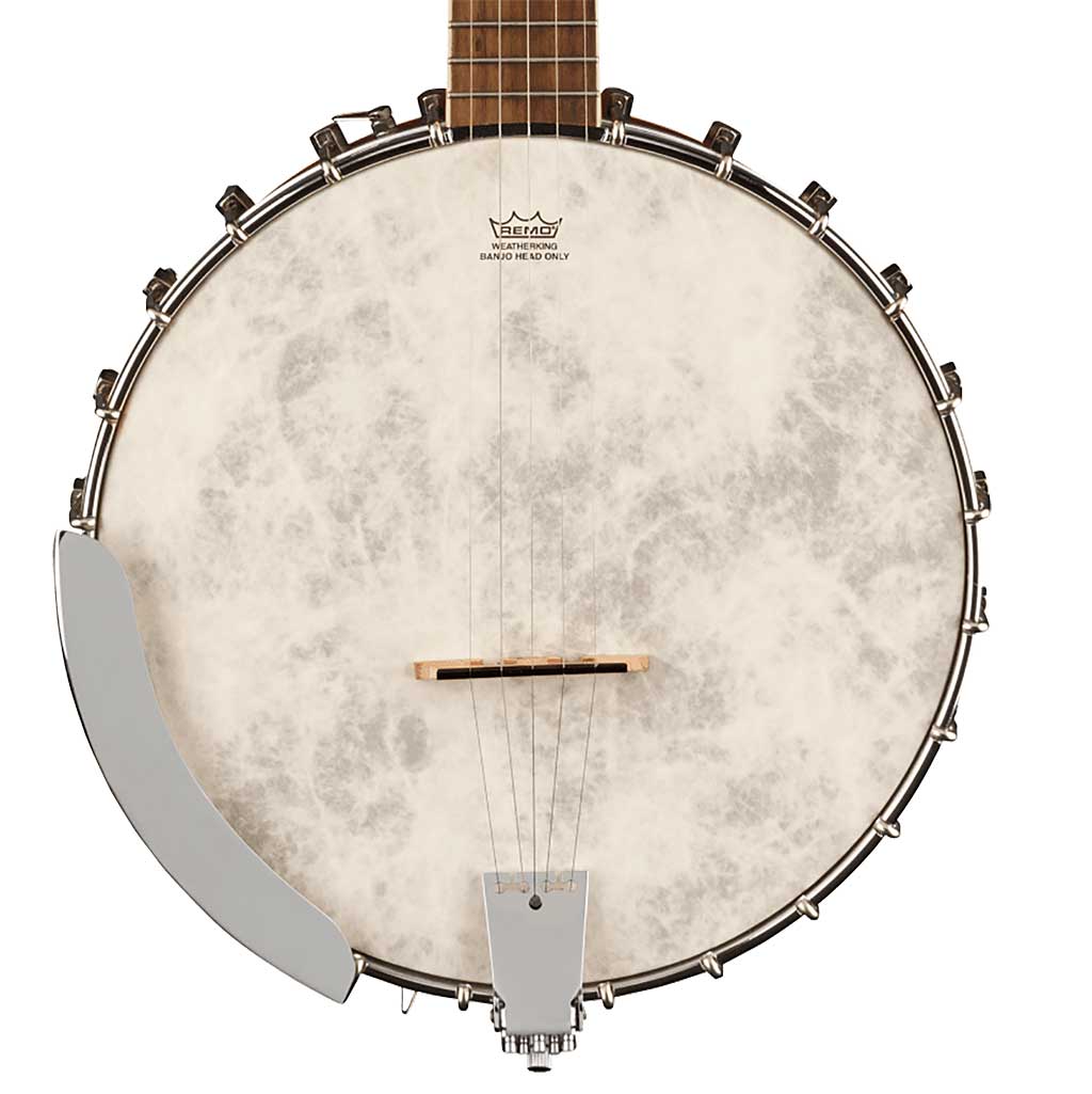 Fender PB-180E 5-String Open Back Banjo-Andy's Music