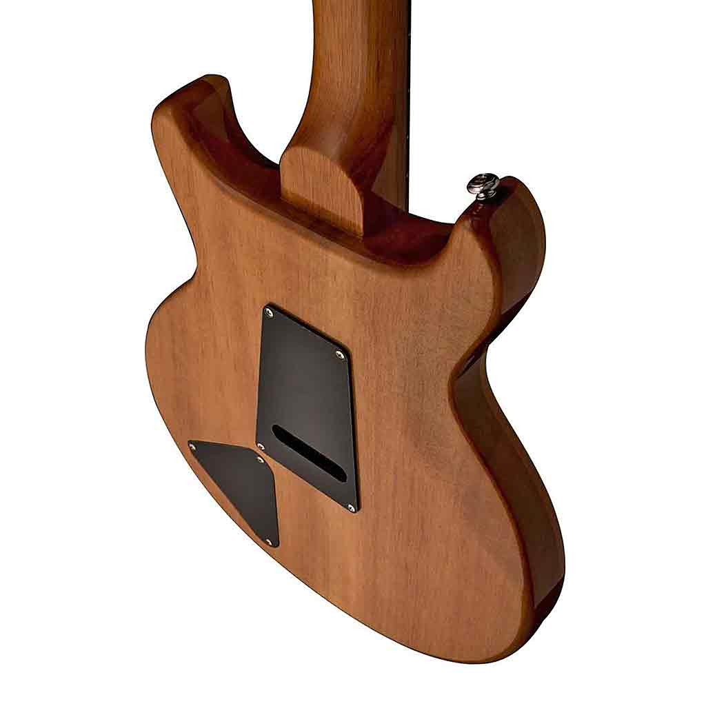 PRS SANTANA SE GUITAR