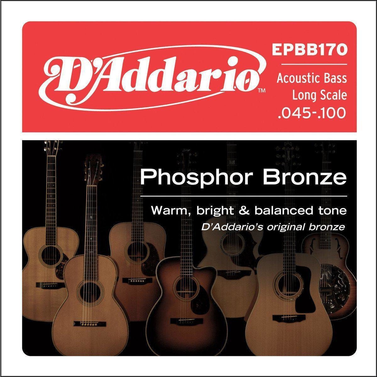 D'Addario EPBB170 Phosphor Bronze Acoustic Bass, Long Scale, 45-100-Andy's Music