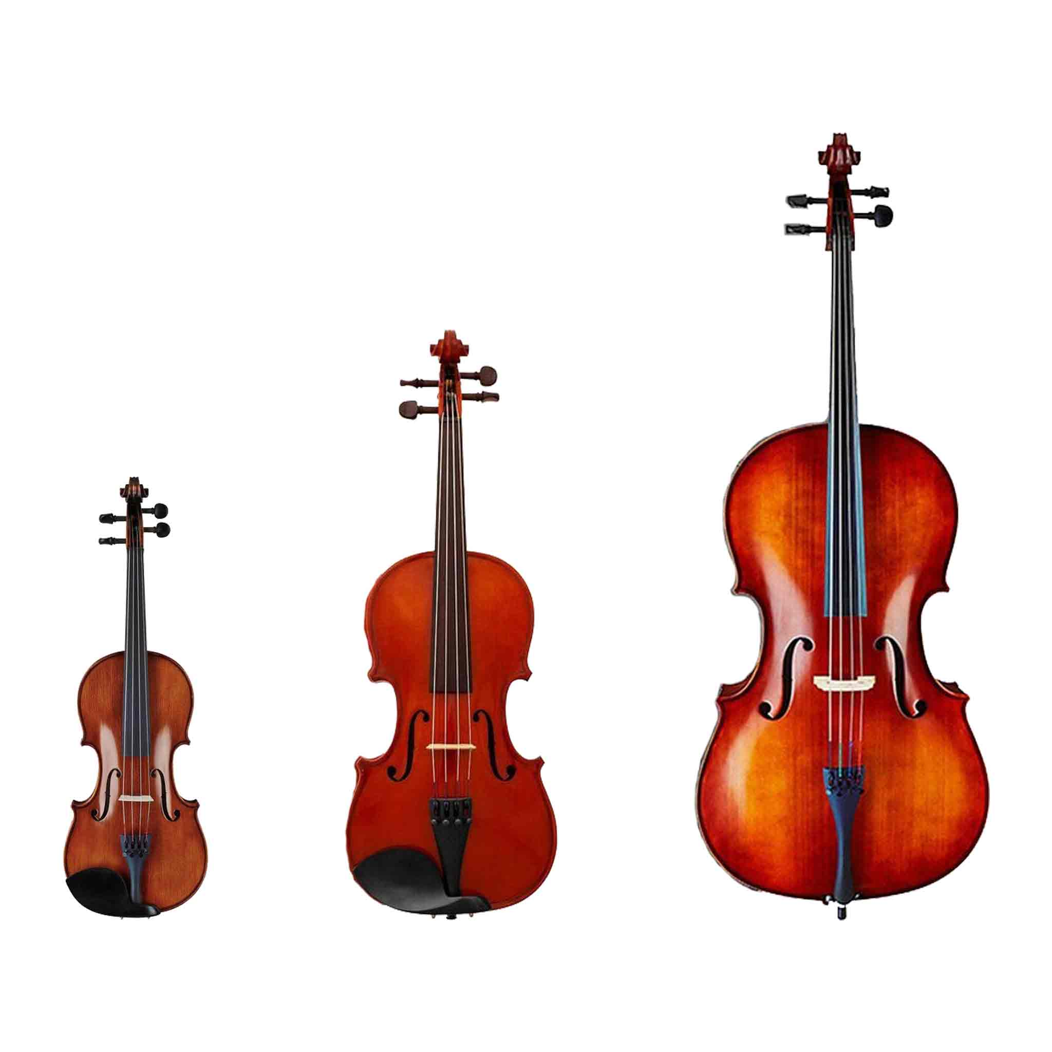 Orchestral Instruments: Violins, Violas, Cellos & More | Andy's Music