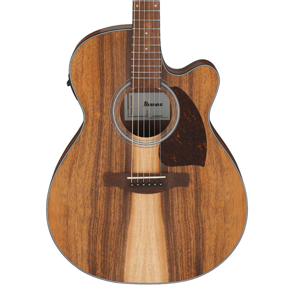 Ibanez Left-Handed Acoustic Electric Guitar PC50WSLCEOPB