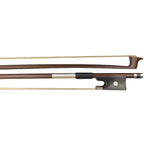 Beginner Viola With Bow And Case - Augusta Menicci Cavalli AM310VA-Andy's Music