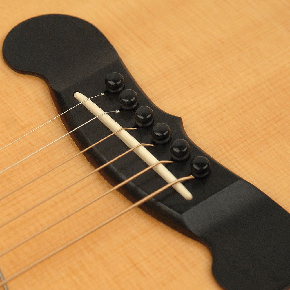 D'Addario Ebony Bridge Pin Set PWPS1-Andy's Music