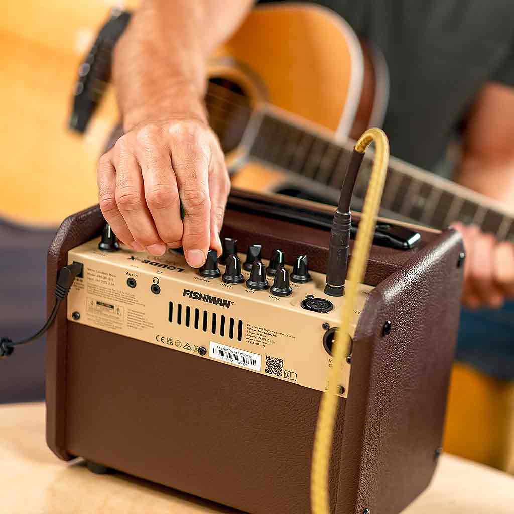 Fishman PRO-LBT-400 Loudbox Micro Acoustic Guitar Amplifier-Andy's Music