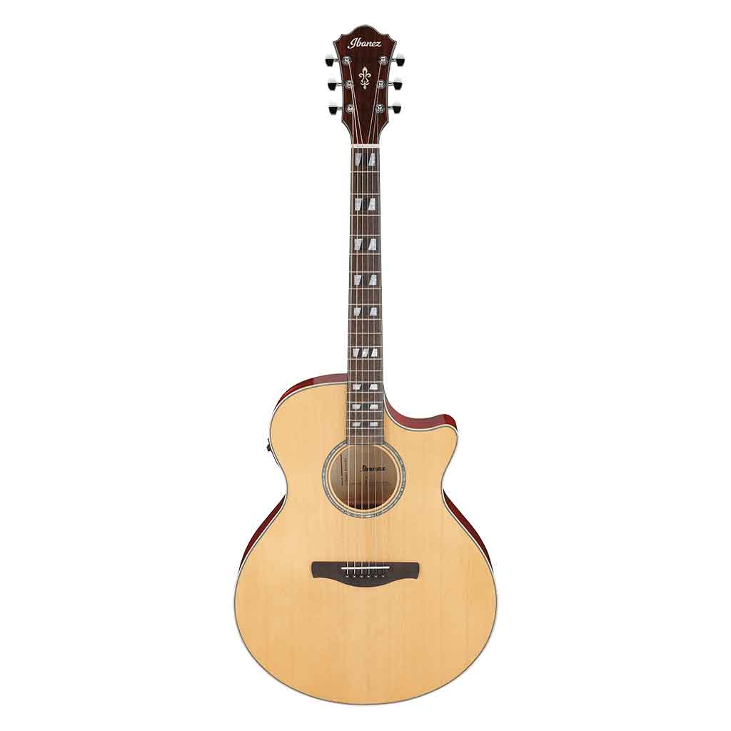 Ibanez AE170 Acoustic Electric Guitar-Andy's Music