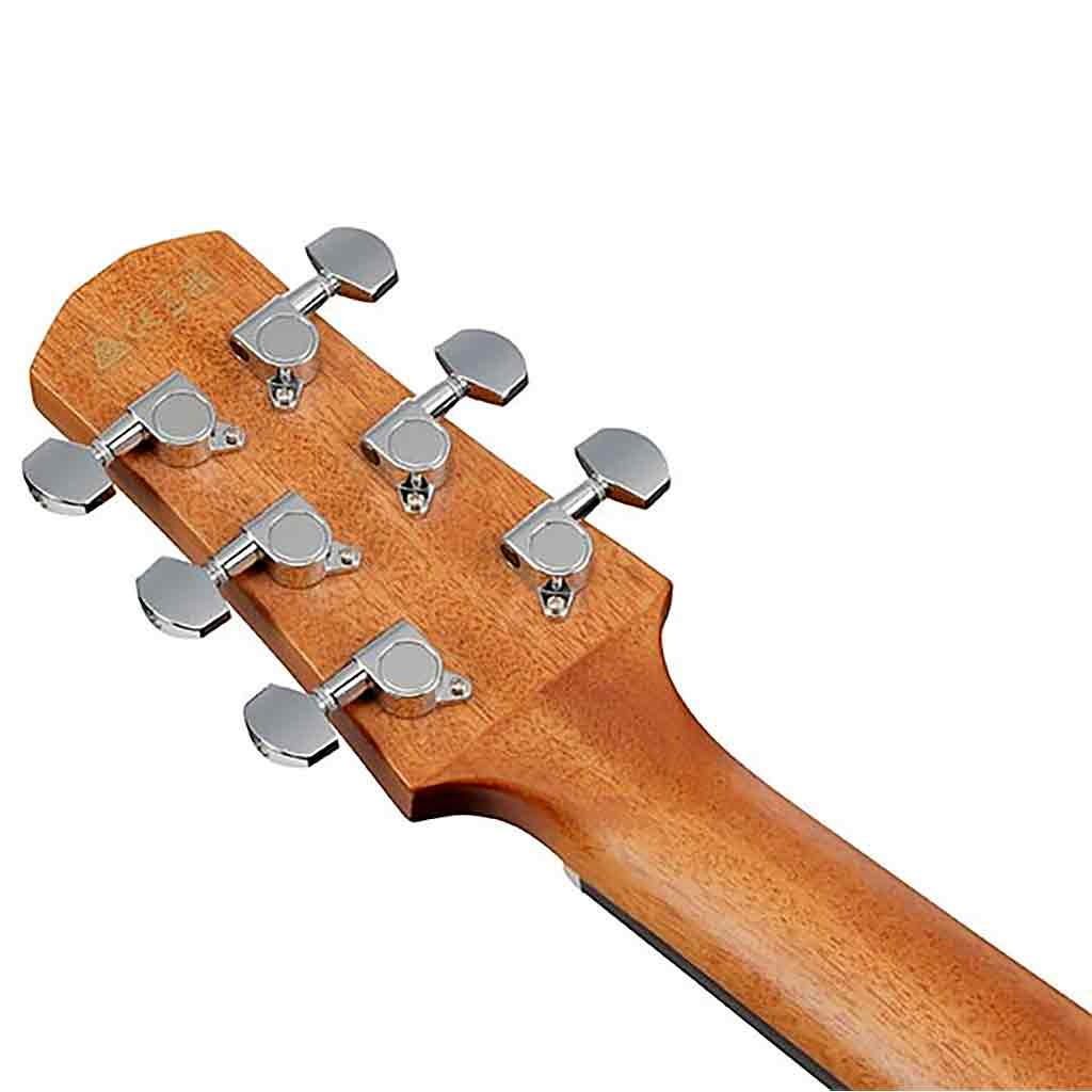 Ibanez AAD51CE Acoustic Electric Guitar-Andy's Music