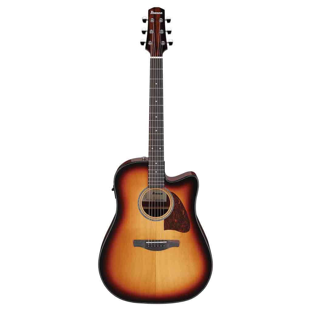 Ibanez AAD51CE Acoustic Electric Guitar-Andy's Music