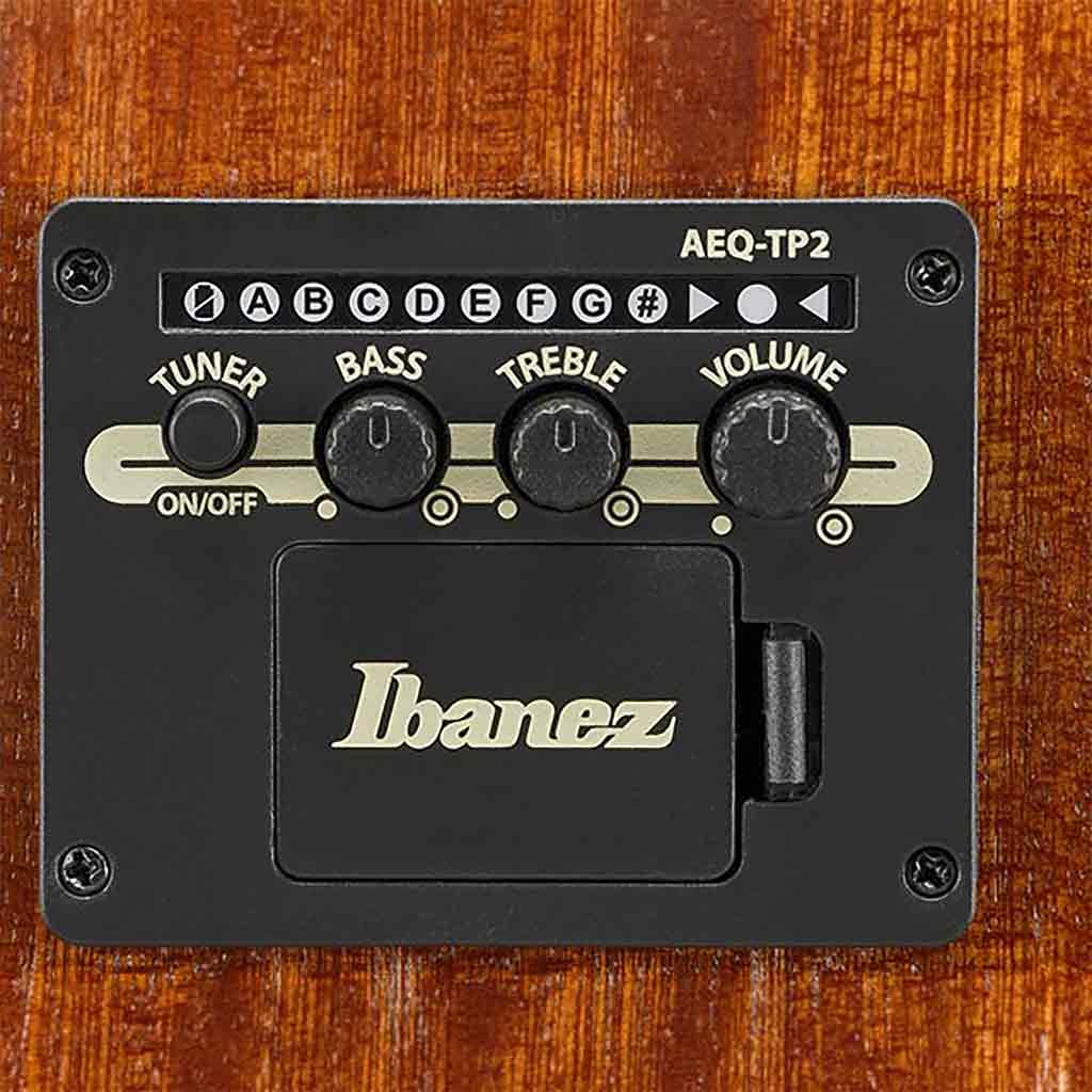 Ibanez AAD51CE Acoustic Electric Guitar-Andy's Music