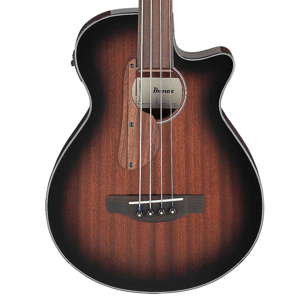 Ibanez AEGB24FE Fretless Acoustic Bass Guitar