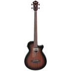 Ibanez AEGB24FE Fretless Acoustic Bass Guitar