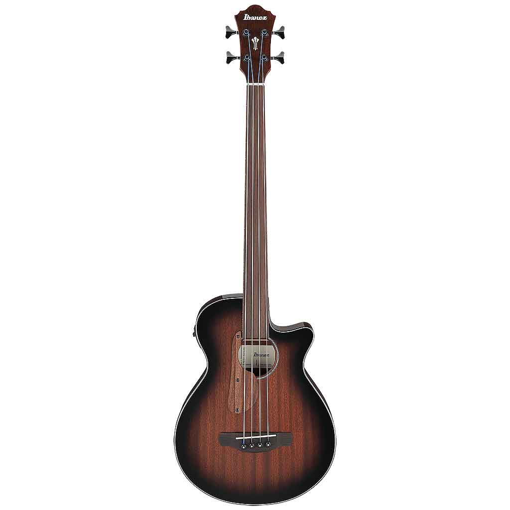 Ibanez AEGB24FE Fretless Acoustic Bass Guitar