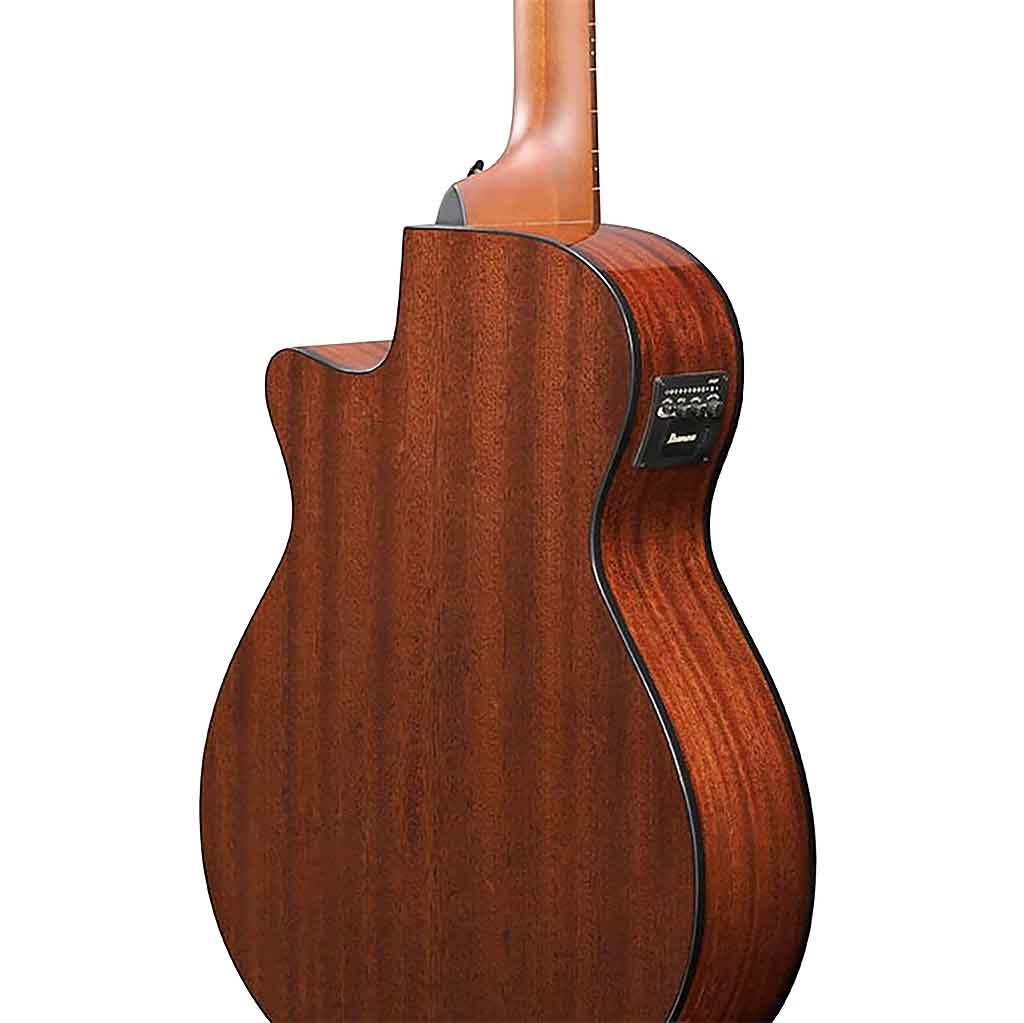 Ibanez AEGB24FE Fretless Acoustic Bass Guitar