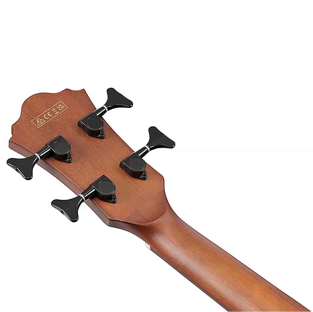 Ibanez AEGB24FE Fretless Acoustic Bass Guitar