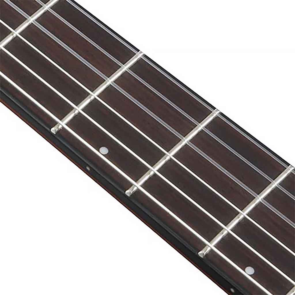 Ibanez AEGB24FE Fretless Acoustic Bass Guitar