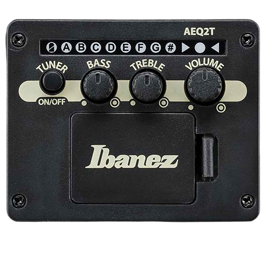 Ibanez AEGB24FE Fretless Acoustic Bass Guitar