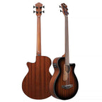 Ibanez AEGB24FE Fretless Acoustic Bass Guitar