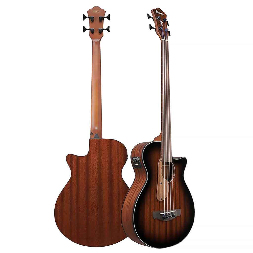Ibanez AEGB24FE Fretless Acoustic Bass Guitar
