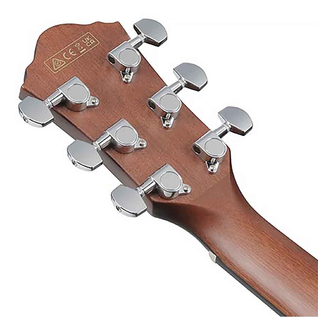 Ibanez AEWC16QA Acoustic Electric Guitar-Andy's Music