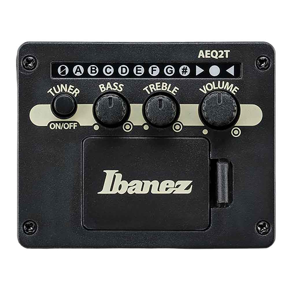 Ibanez AEWC16QA Acoustic Electric Guitar-Andy's Music