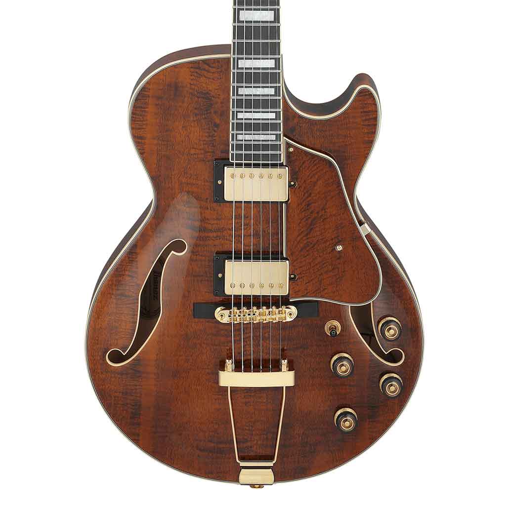 Ibanez AG95MG Artcore Expressionist Hollow Body Electric Guitar - Dark Amber