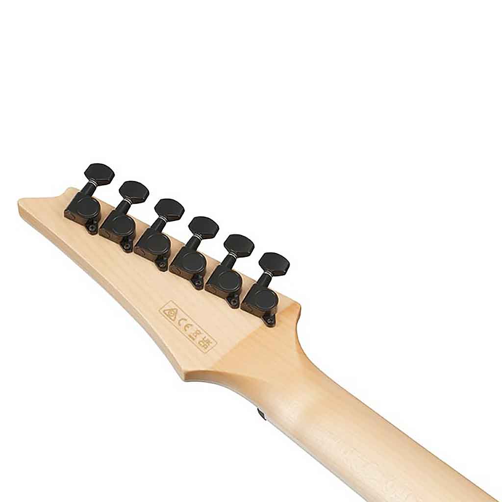 Ibanez ALT50FA Acoustic Electric Guitar
