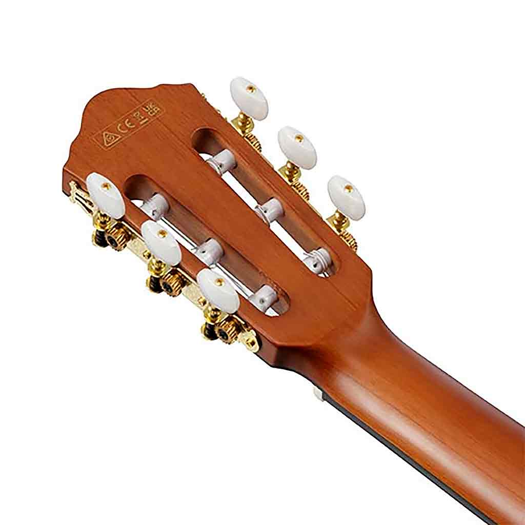 Ibanez FRH10N Nylon String Classical Guitar-Andy's Music