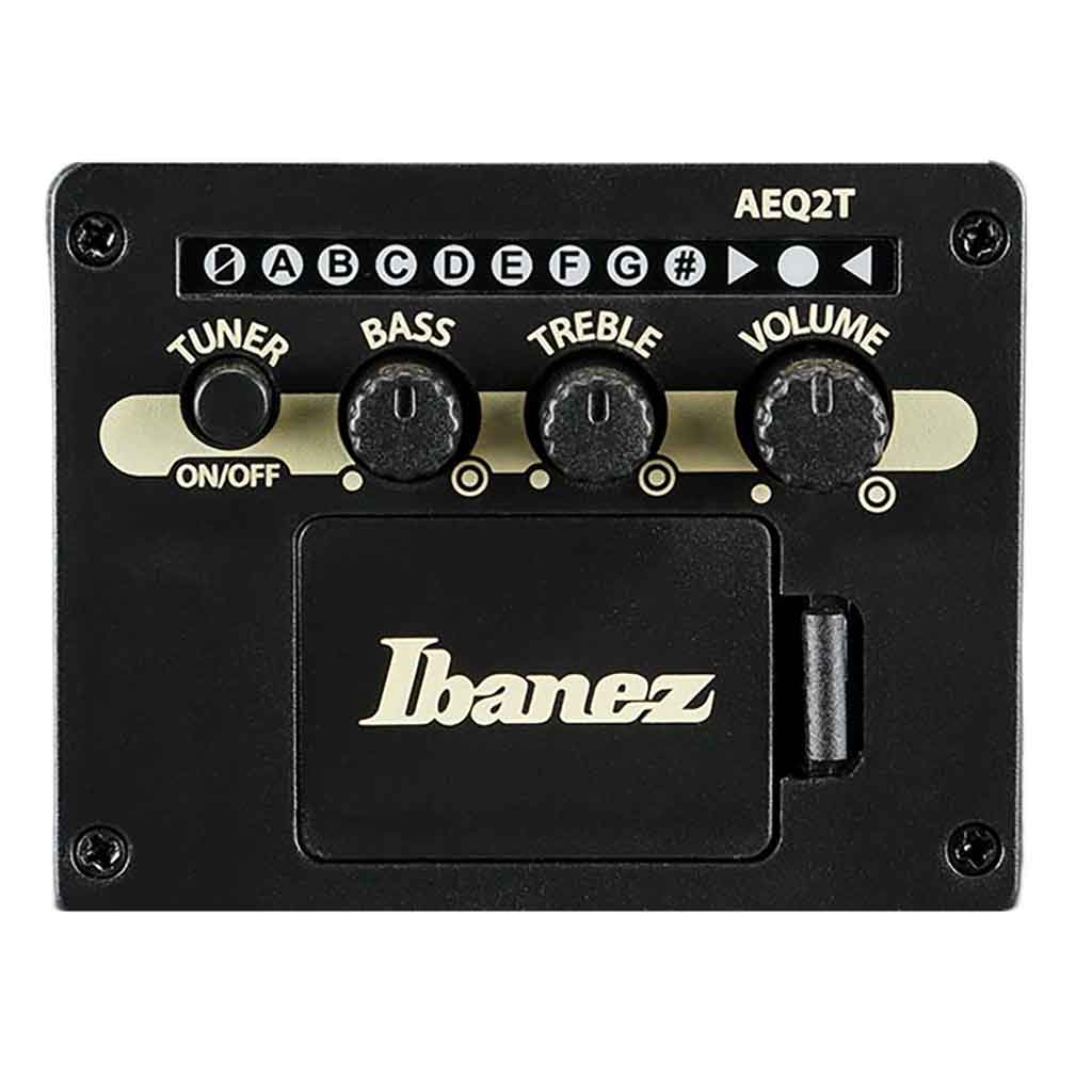 Ibanez PF54CE Cutaway Dreadnought Acoustic Electric Guitar-Andy's Music