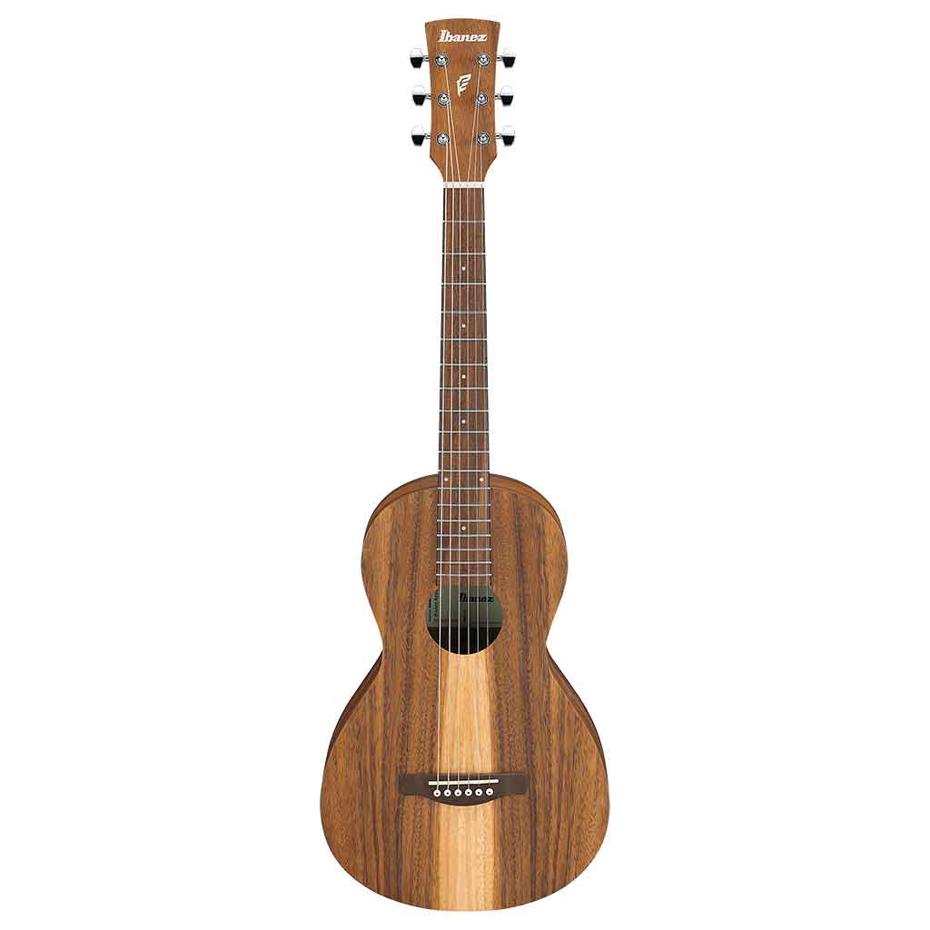 Ibanez PN2WS Parlor Acoustic Guitar