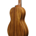 Ibanez PN2WS Parlor Acoustic Guitar