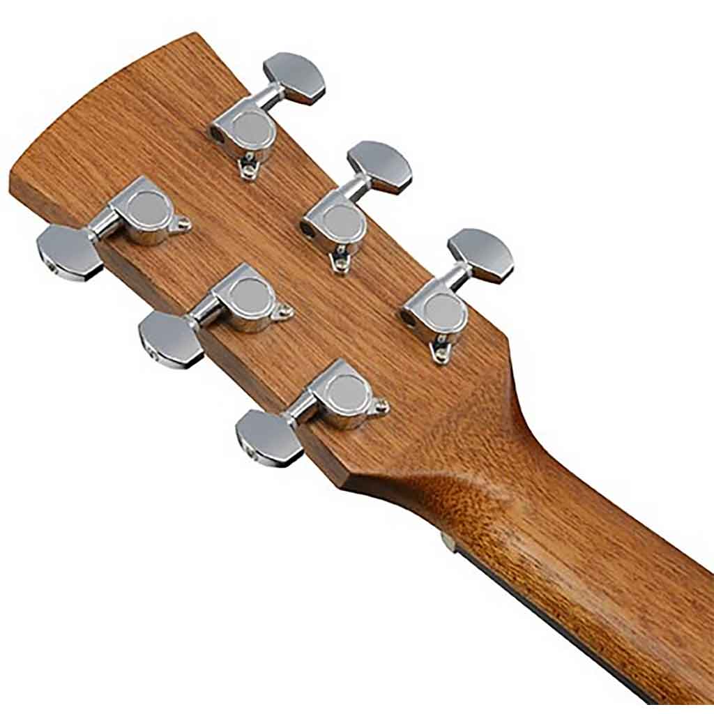Ibanez PN2WS Parlor Acoustic Guitar