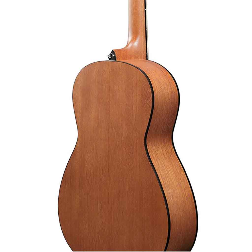 Ibanez PN50 Parlor Acoustic Guitar-Andy's Music