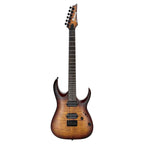 Ibanez RGA42FM Electric Guitar