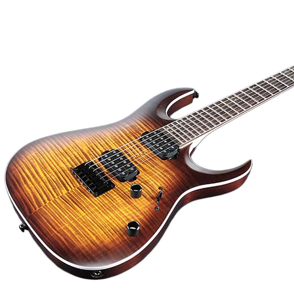 Ibanez RGA42FM Electric Guitar