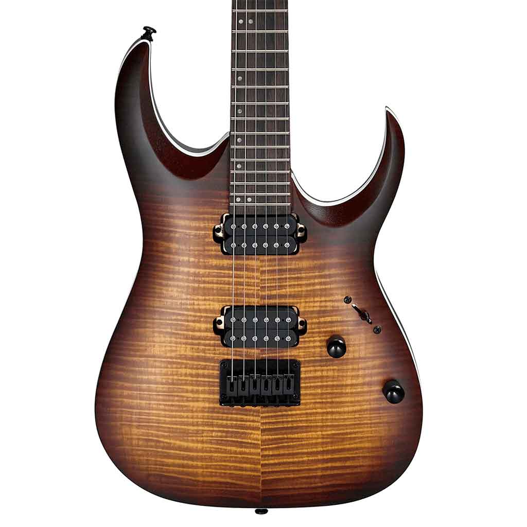 Ibanez RGA42FM Electric Guitar