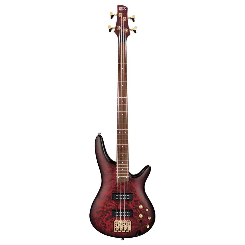 Ibanez SR300EDX 4-String Bass Guitar-Andy's Music