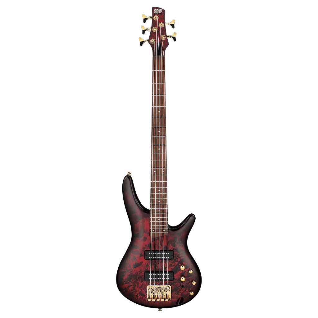 Ibanez SR305E 5-String Bass Guitar-Andy's Music
