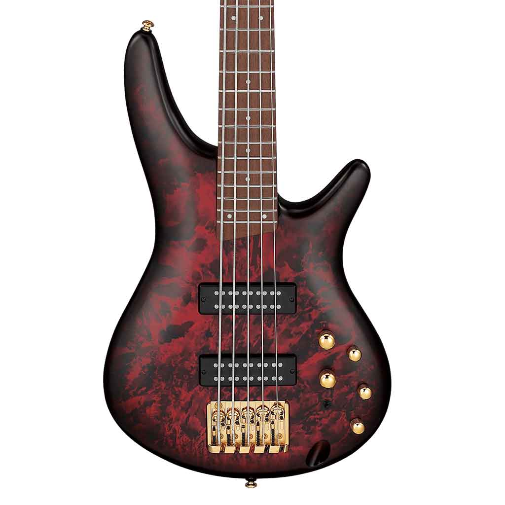 Ibanez SR305E 5-String Bass Guitar-Wine Red Frozen Matte-Andy's Music