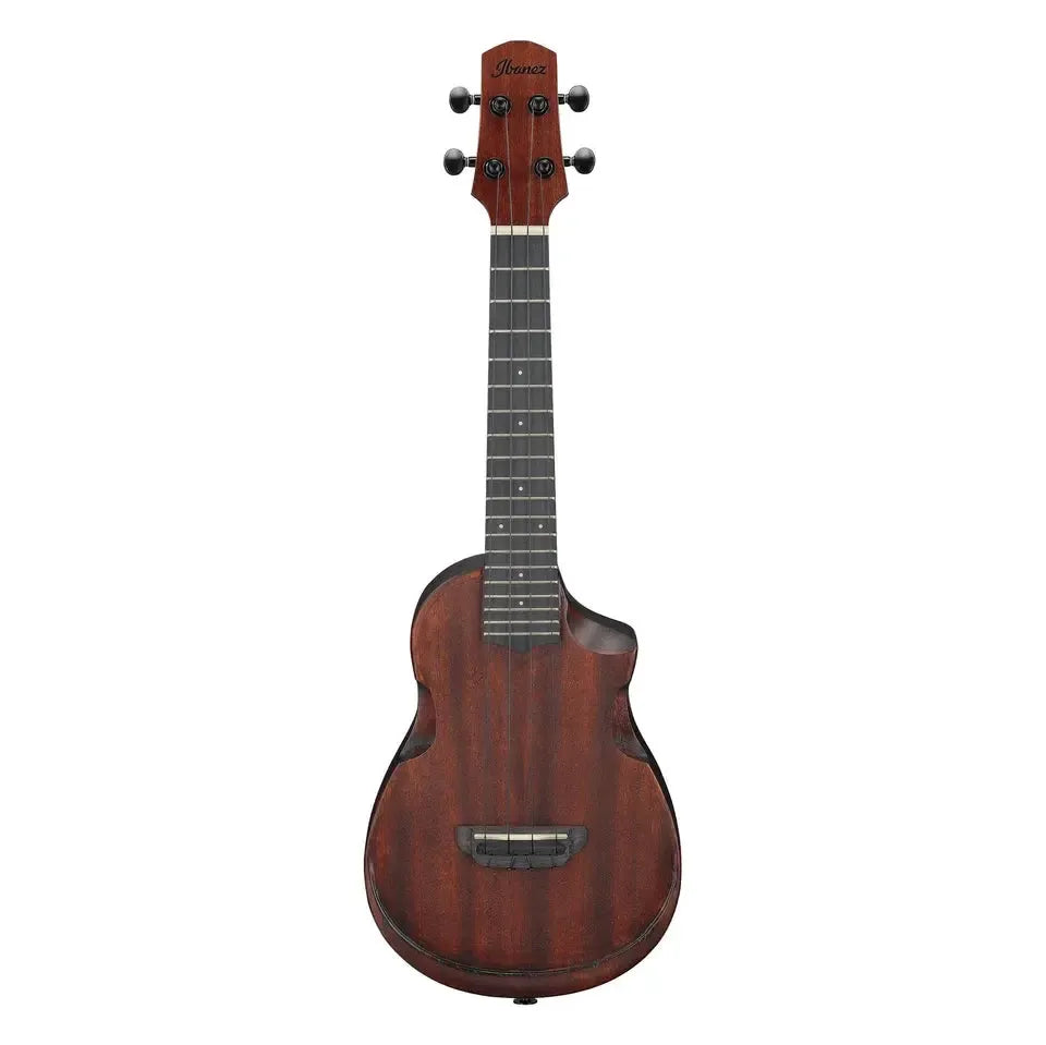 Ibanez Ukulele Concert Body Sapele top AUC14OVL-Andy's Music
