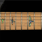 PRS SE NF 53 Electric Guitar Swamp Ash Body Noiseless Pickups Birds Inaly