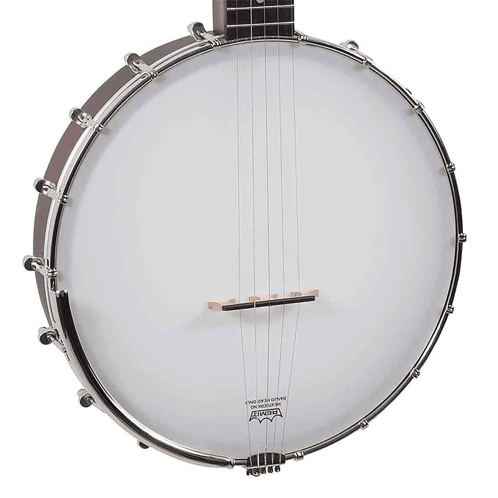 Recording King RKOH-06 Dirty 30s 5-String Open Back Banjo-Andy's Music