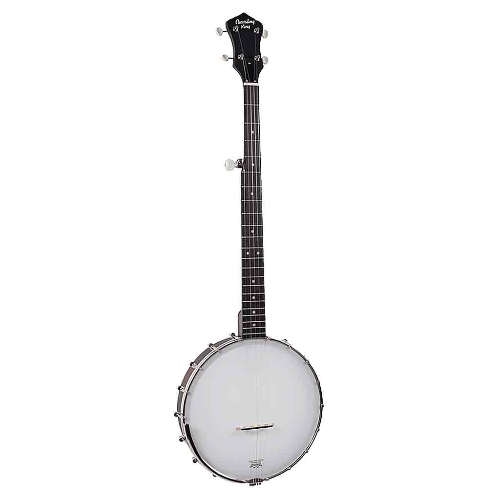 Recording King RKOH-06 Dirty 30s 5-String Open Back Banjo-Andy's Music