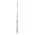 Selmer SFL201 Student Concert Flute in C