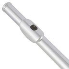 Selmer SFL201 Student Flute in C
