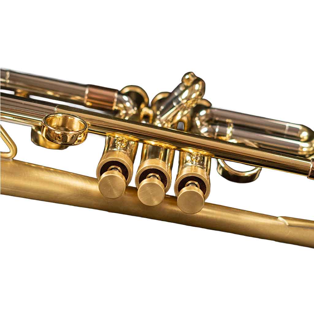 Taylor Piranha Trumpet-Andy's Music