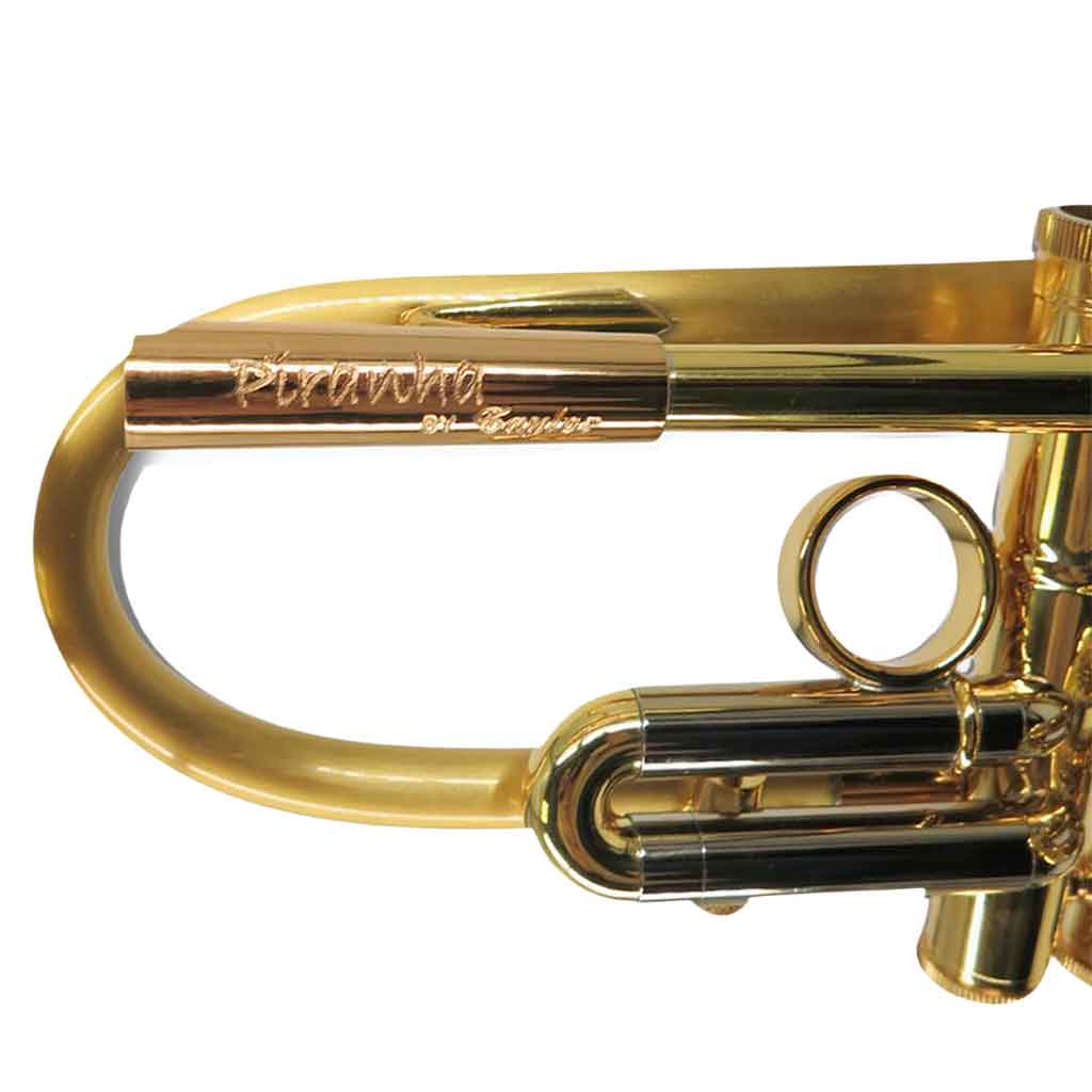 Taylor Piranha Trumpet-Andy's Music
