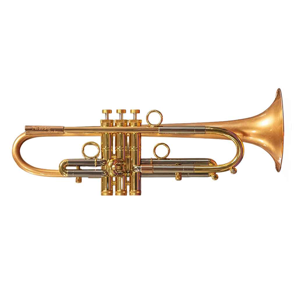 Taylor Piranha Trumpet-Andy's Music