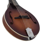 The Loar LM-110-BRB Honey Creek A-Style Mandolin-Andy's Music
