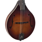 The Loar LM-110-BRB Honey Creek A-Style Mandolin-Andy's Music